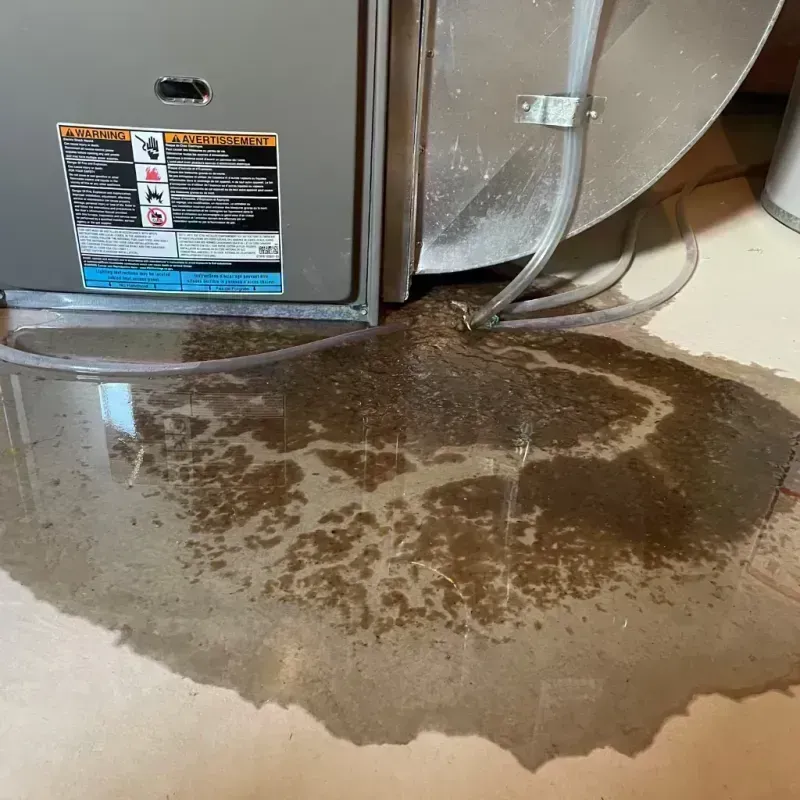 Appliance Leak Cleanup in Lido Beach, NY